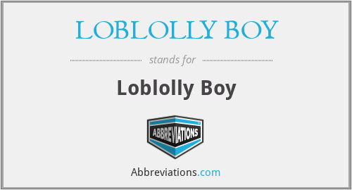 What does LOBLOLLY BOY stand for?